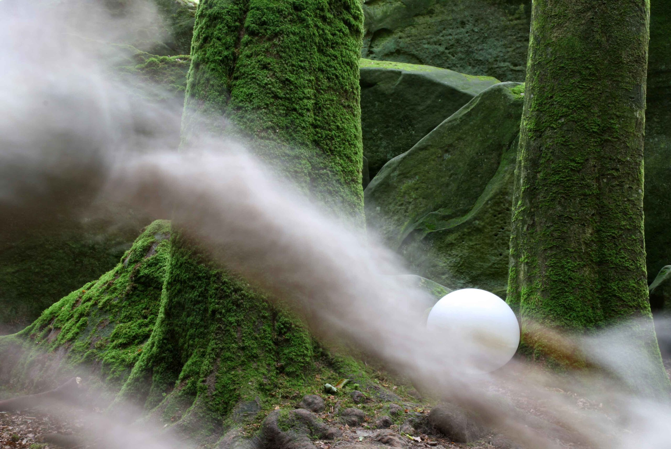 Ein großer Baumstamm mit Moos bewachsen, daneben liegt ein großes weißes Ei.